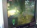 Twilight Princess