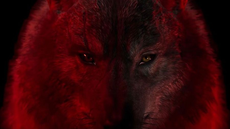 Werewolf : The Apocalypse